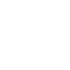cash icon - white